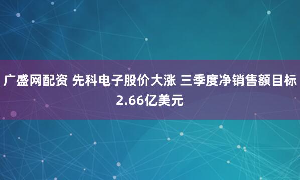 廣盛網(wǎng)配資 先科電子股價大漲 三季度凈銷售額目標2.66億美元